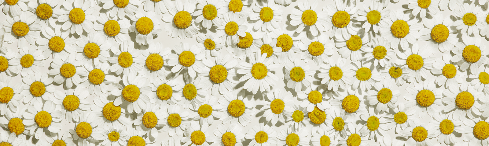 Clean Beauty Styling