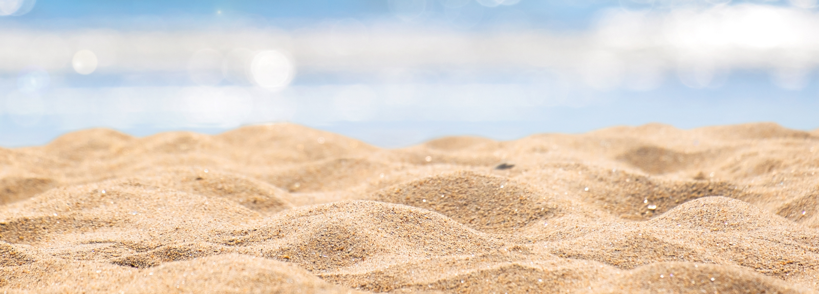 Summer Collection 2025