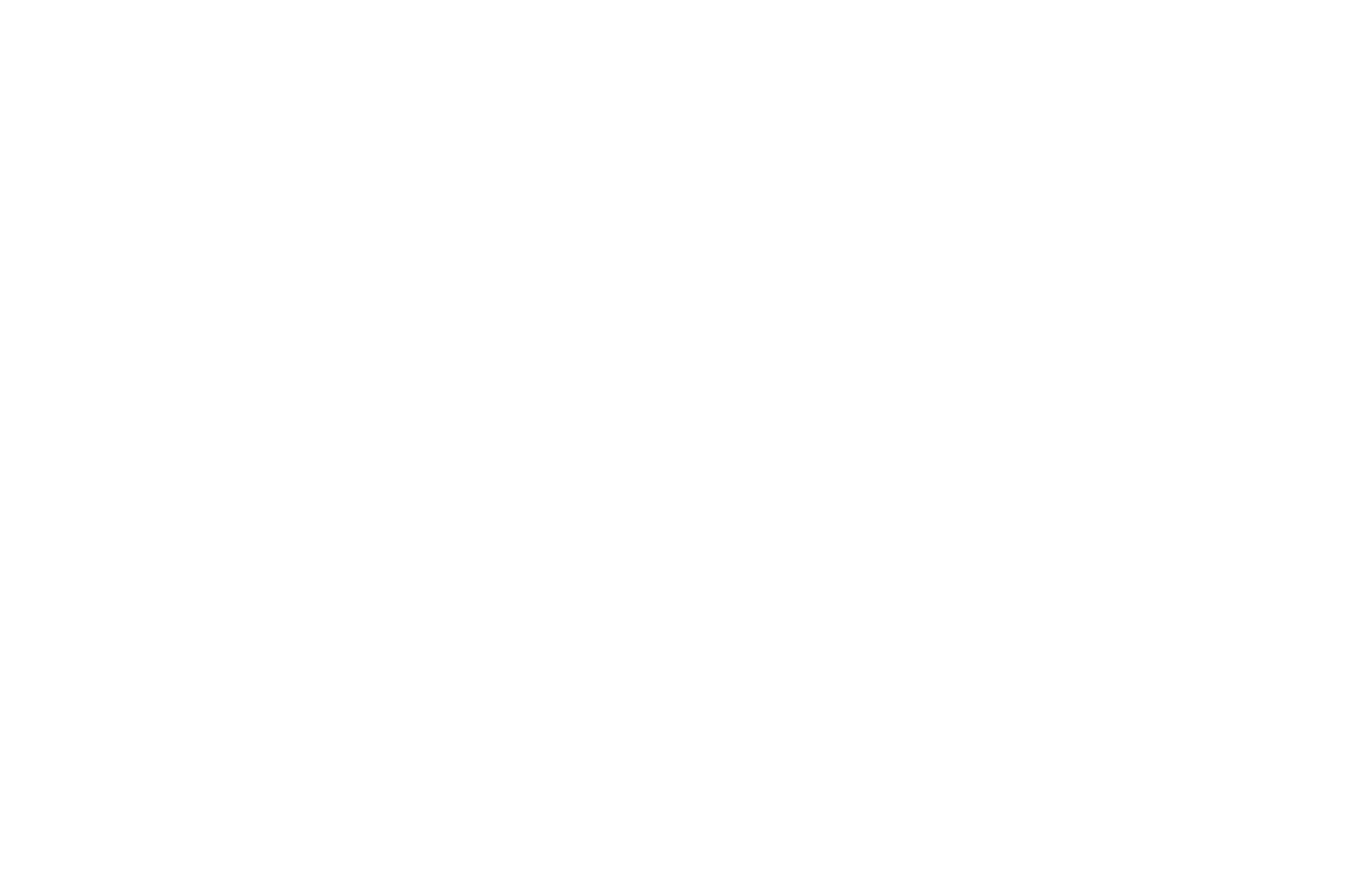 Dark Stag Logo